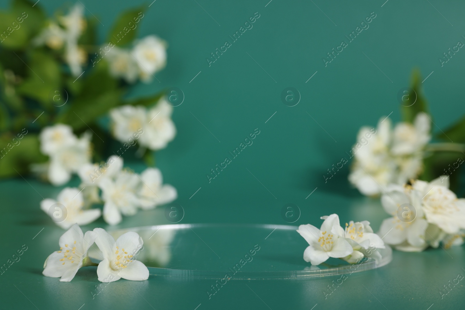 Photo of Presentation of product. Glass podium and beautiful jasmine flowers on green background, space for text