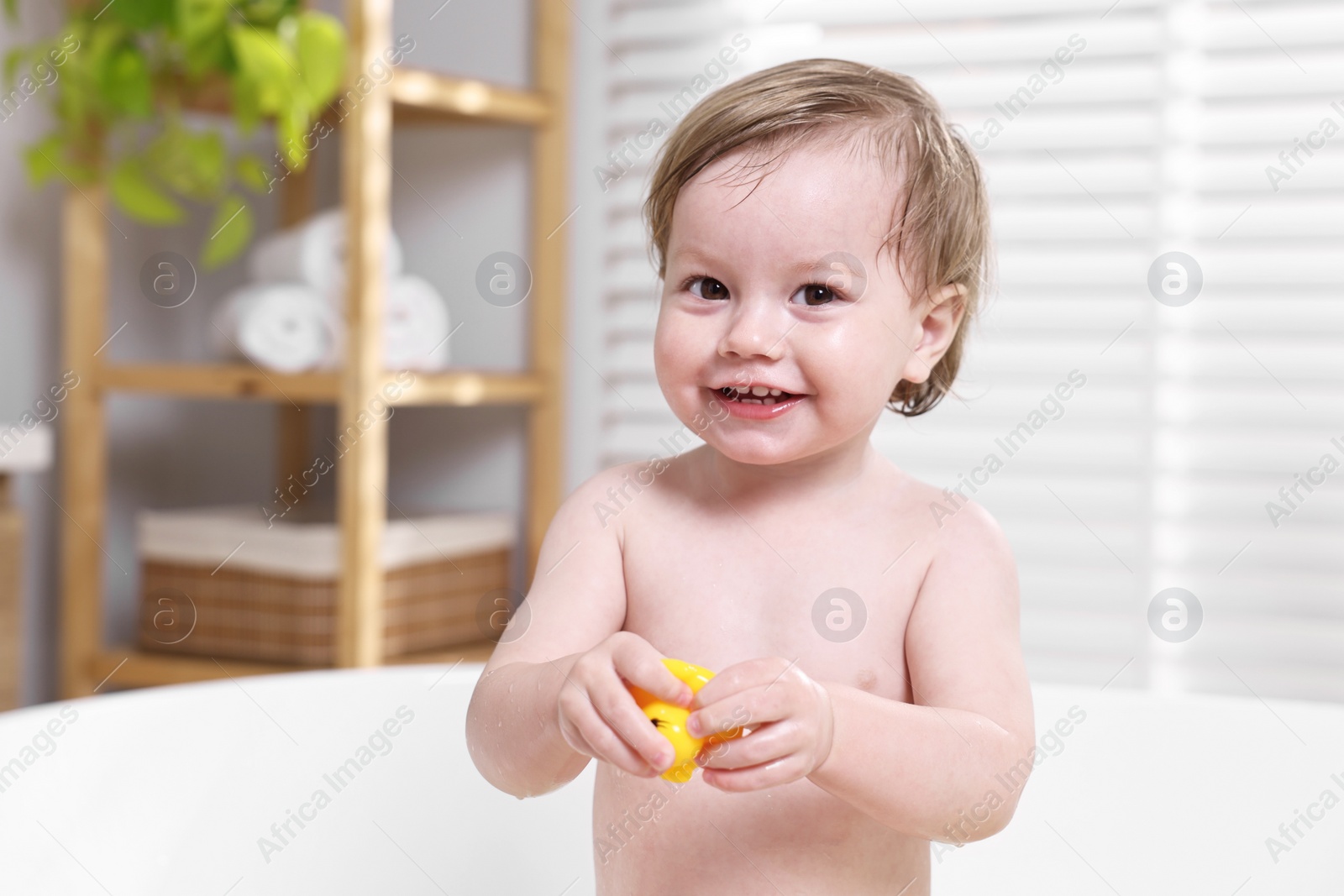Photo of Cute little child playing with toy duck in bathtub at home