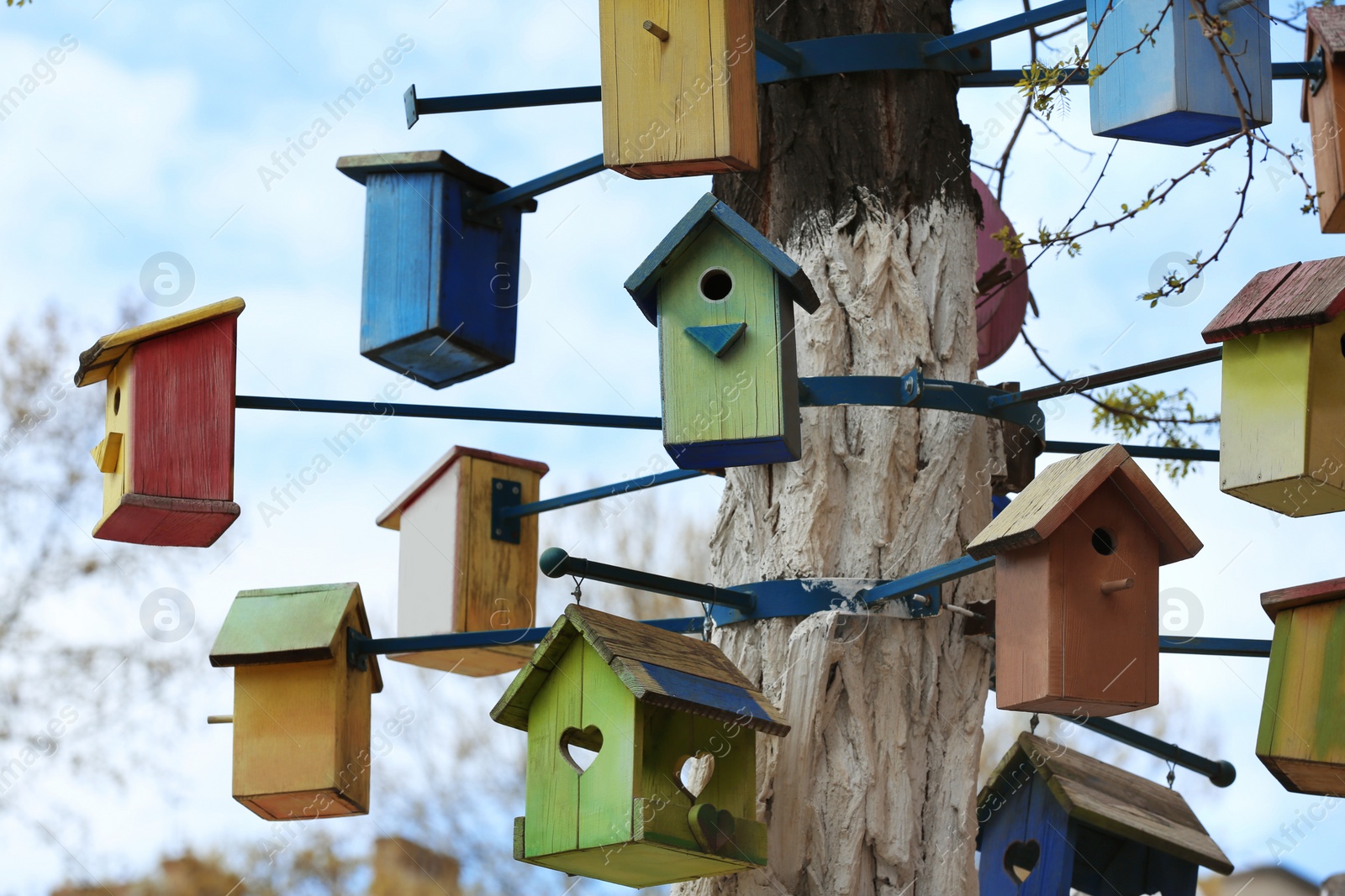 Photo of Lots of colorful wooden bird houses on tree outdoors