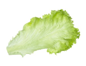 Fresh green lettuce leaf isolated on white