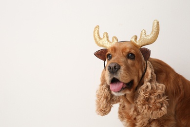 Photo of Adorable Cocker Spaniel dog in reindeer headband on white background, space for text