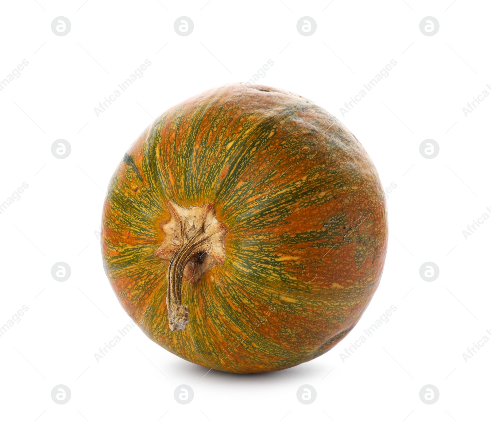 Photo of Fresh raw pumpkin isolated on white. Organic plant