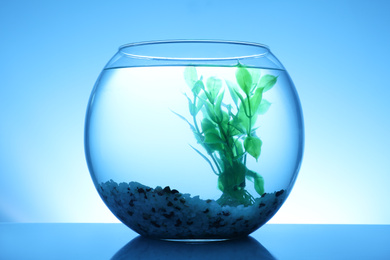 Photo of Glass fish bowl with clear water, plant and decorative pebble on blue background