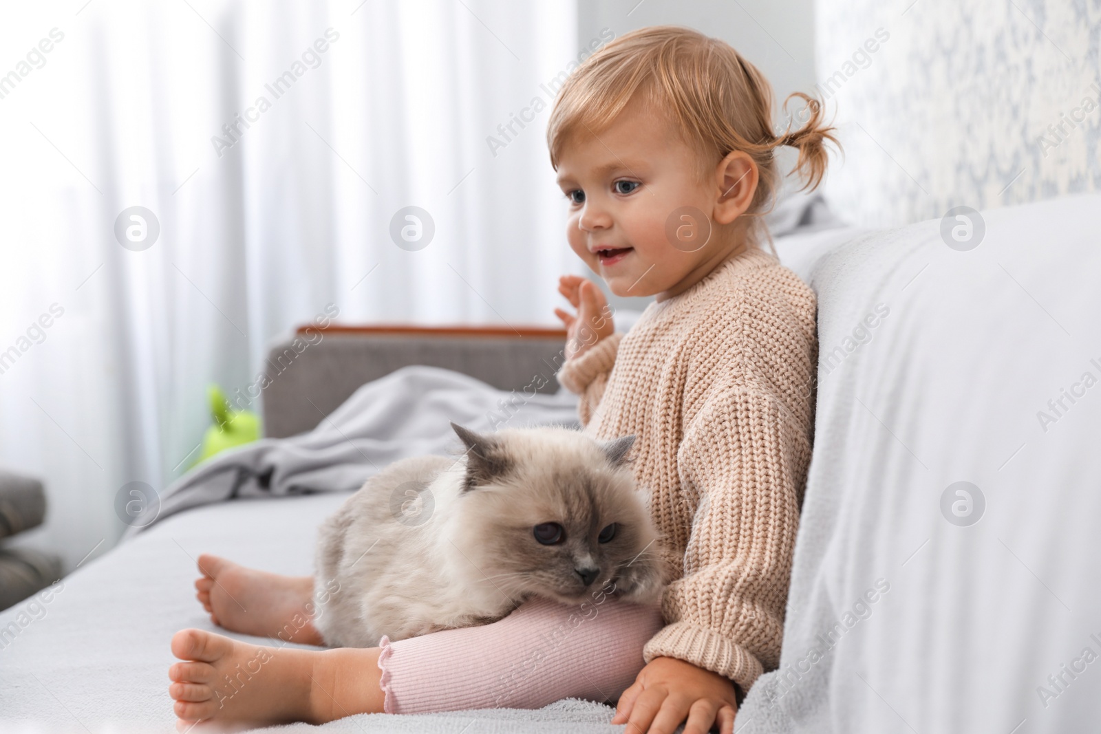 Photo of Cute little child sitting with adorable pet on sofa at home