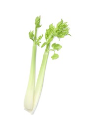 Photo of Fresh stalks of celery isolated on white, top view