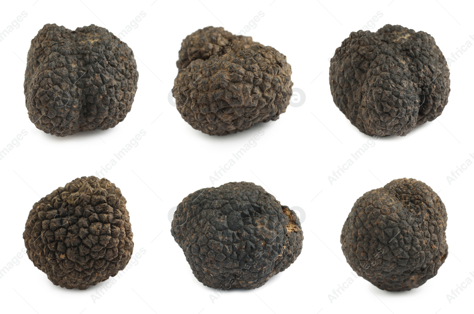 Set with expensive delicious black truffles on white background Image of Set with expensive delicious black truffles on white background