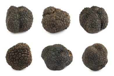 Image of Set with expensive delicious black truffles on white background