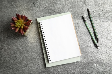 Photo of Notebooks and plant on grey background, top view