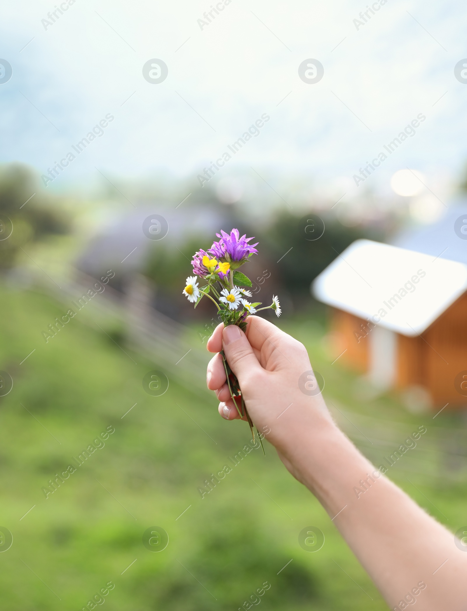 Photo of Woman holding bouquet of beautiful meadow flowers against blurred background