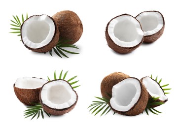 Image of Set of ripe coconuts with green leaves on white background