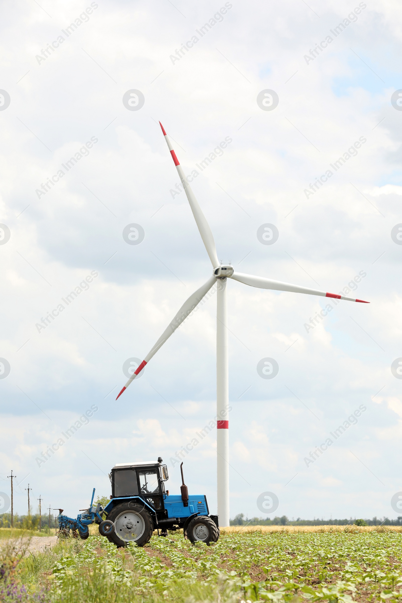 Photo of Modern tractor cultivating field of ripening sunflowers. Agricultural industry