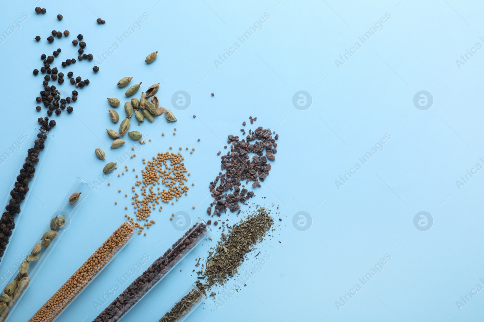 Photo of Glass tubes with different spices on light blue background, flat lay. Space for text