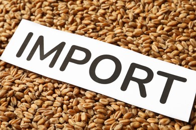 Photo of Card with word Import on wheat grains, closeup