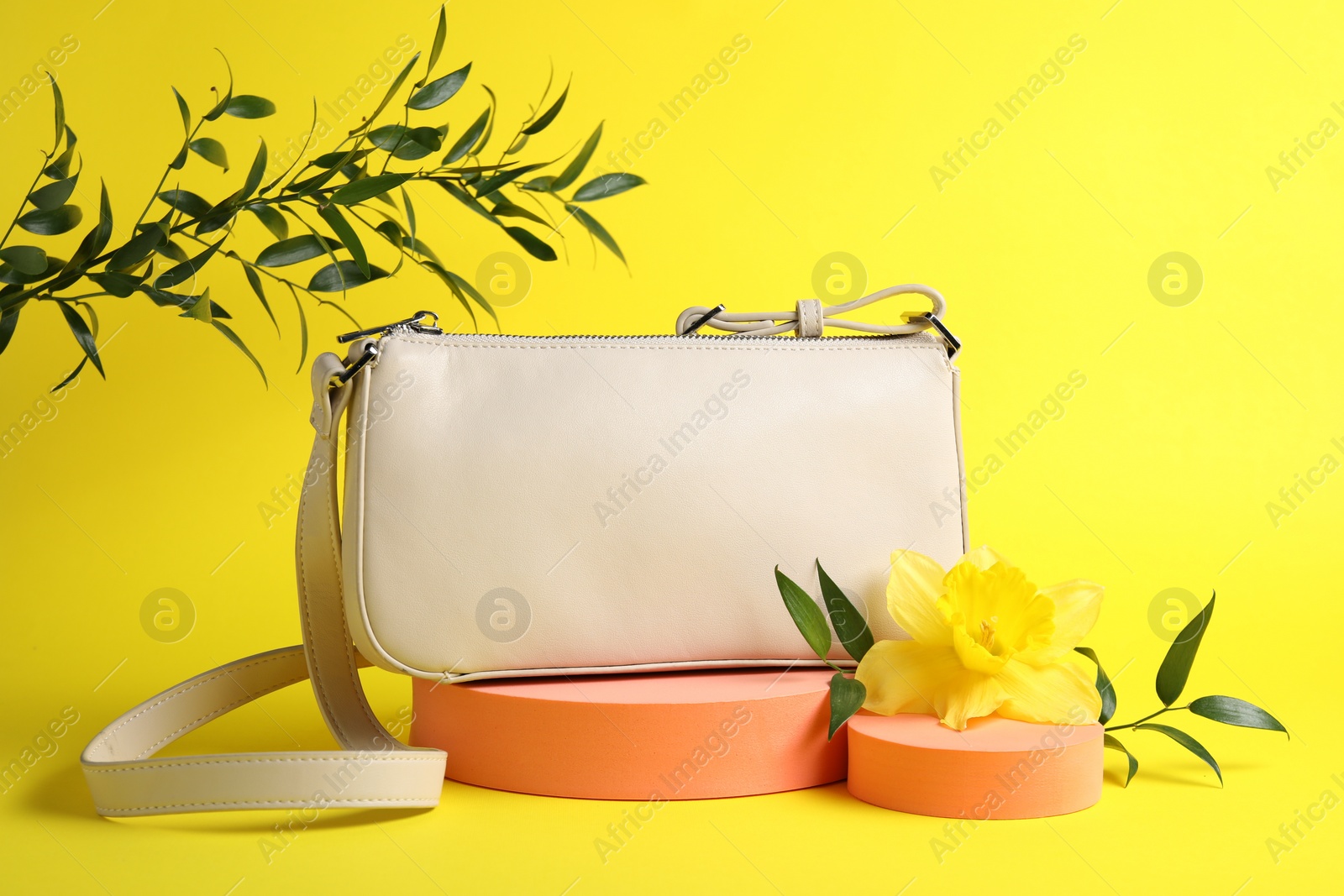 Photo of Stylish presentation of bag, green leaves and daffodil flower on yellow background