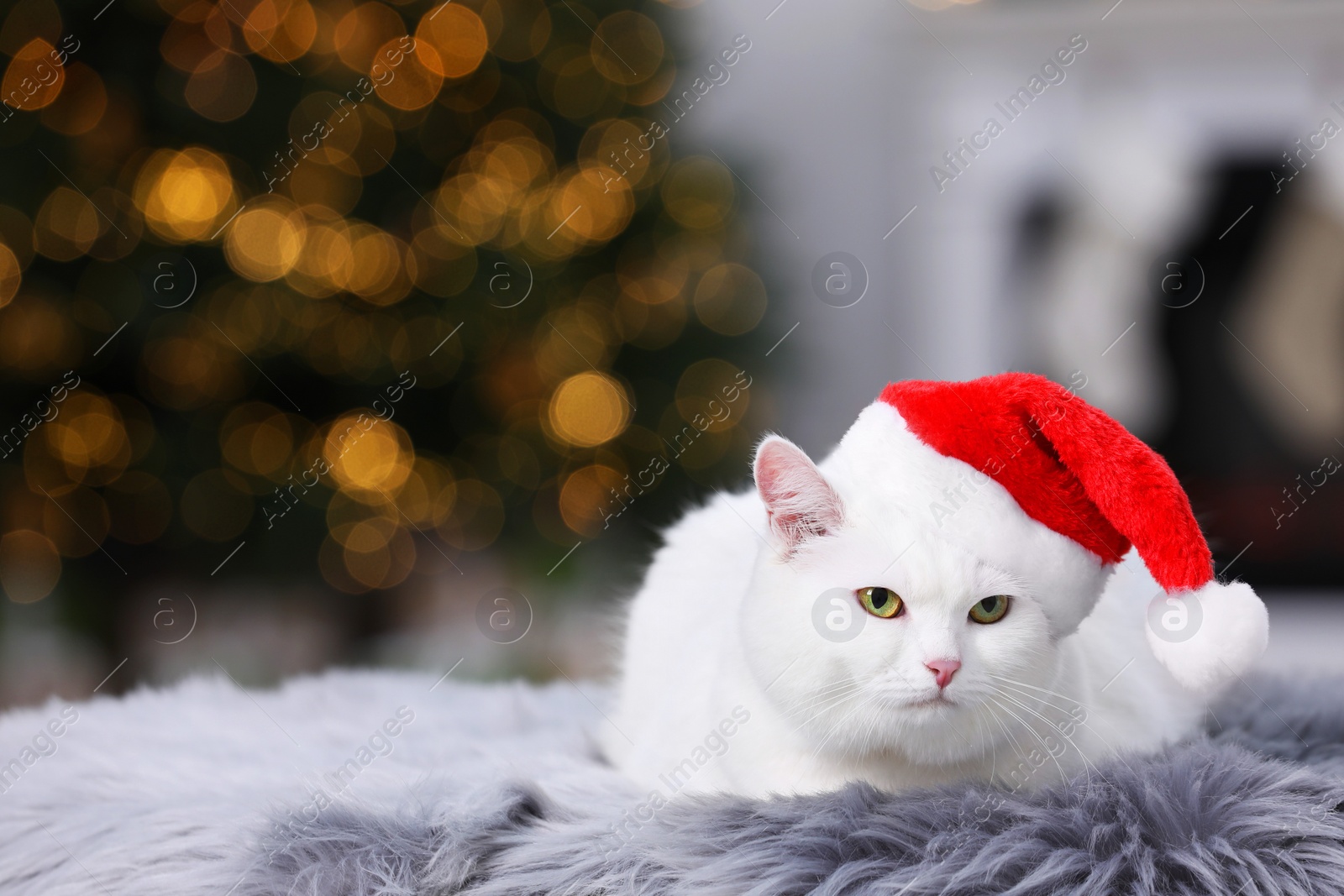 Photo of Adorable cat wearing Christmas hat on fur rug indoors. Space for text