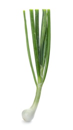 Photo of Fresh green onion on white background