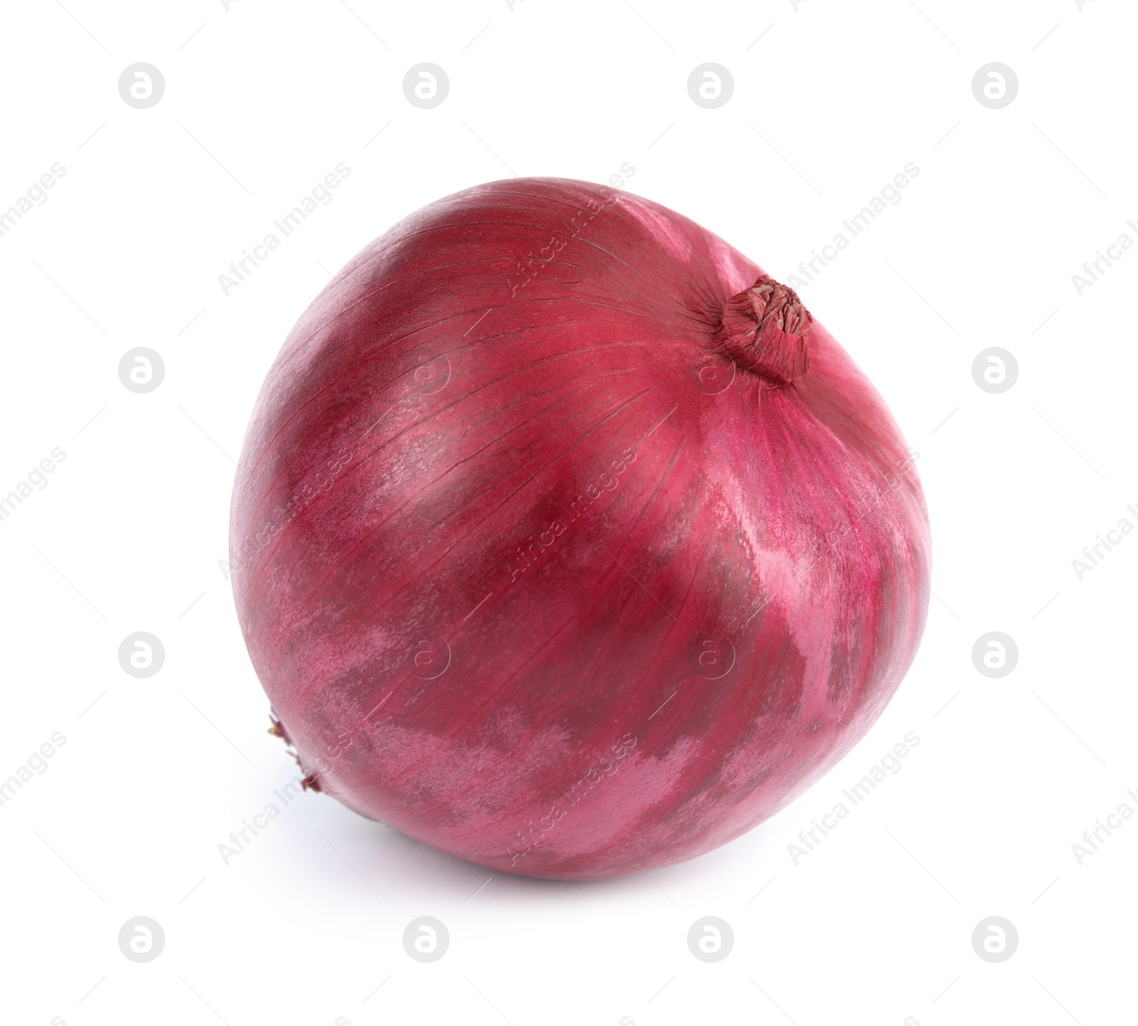 Photo of Fresh whole red onion on white background