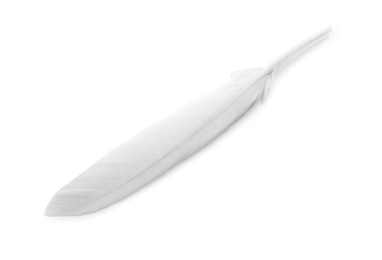 Photo of Beautiful fluffy bird feather isolated on white, top view