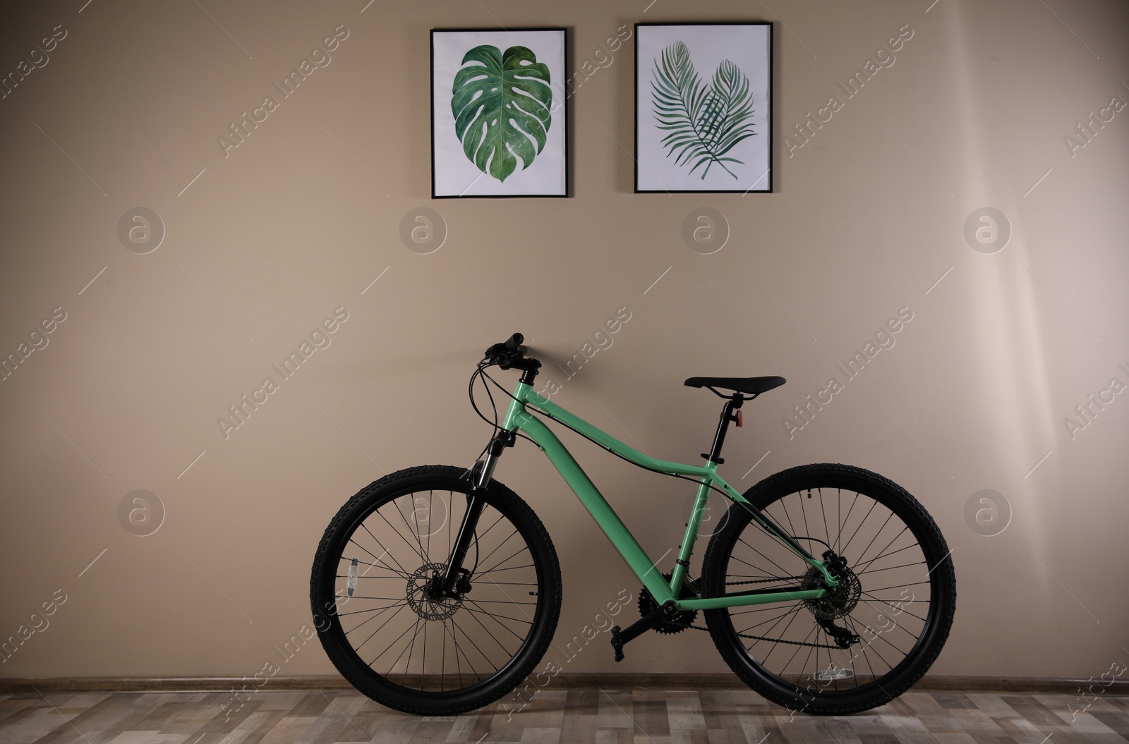 Photo of Modern green bicycle near beige wall indoors