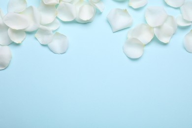 Photo of Beautiful white rose flower petals on light blue background, flat lay. Space for text