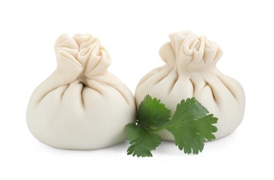 Uncooked khinkali (dumplings) and parsley isolated on white. Georgian cuisine