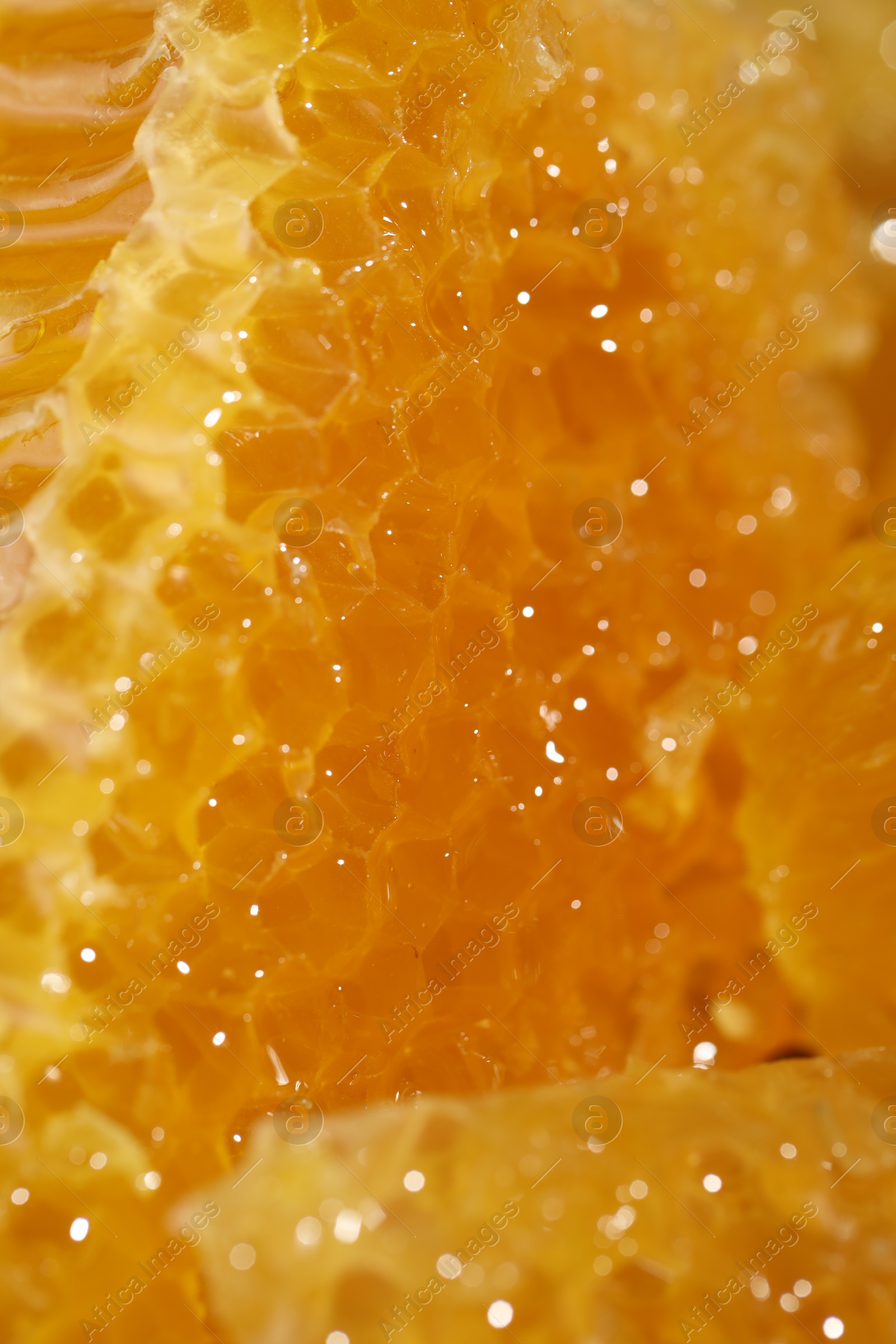 Photo of Closeup view of natural honeycombs with sweet honey as background