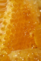 Photo of Closeup view of natural honeycombs with sweet honey as background