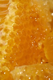 Closeup view of natural honeycombs with sweet honey as background