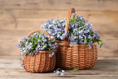 Beautiful forget-me-not flowers in wicker baskets on wooden table, closeup