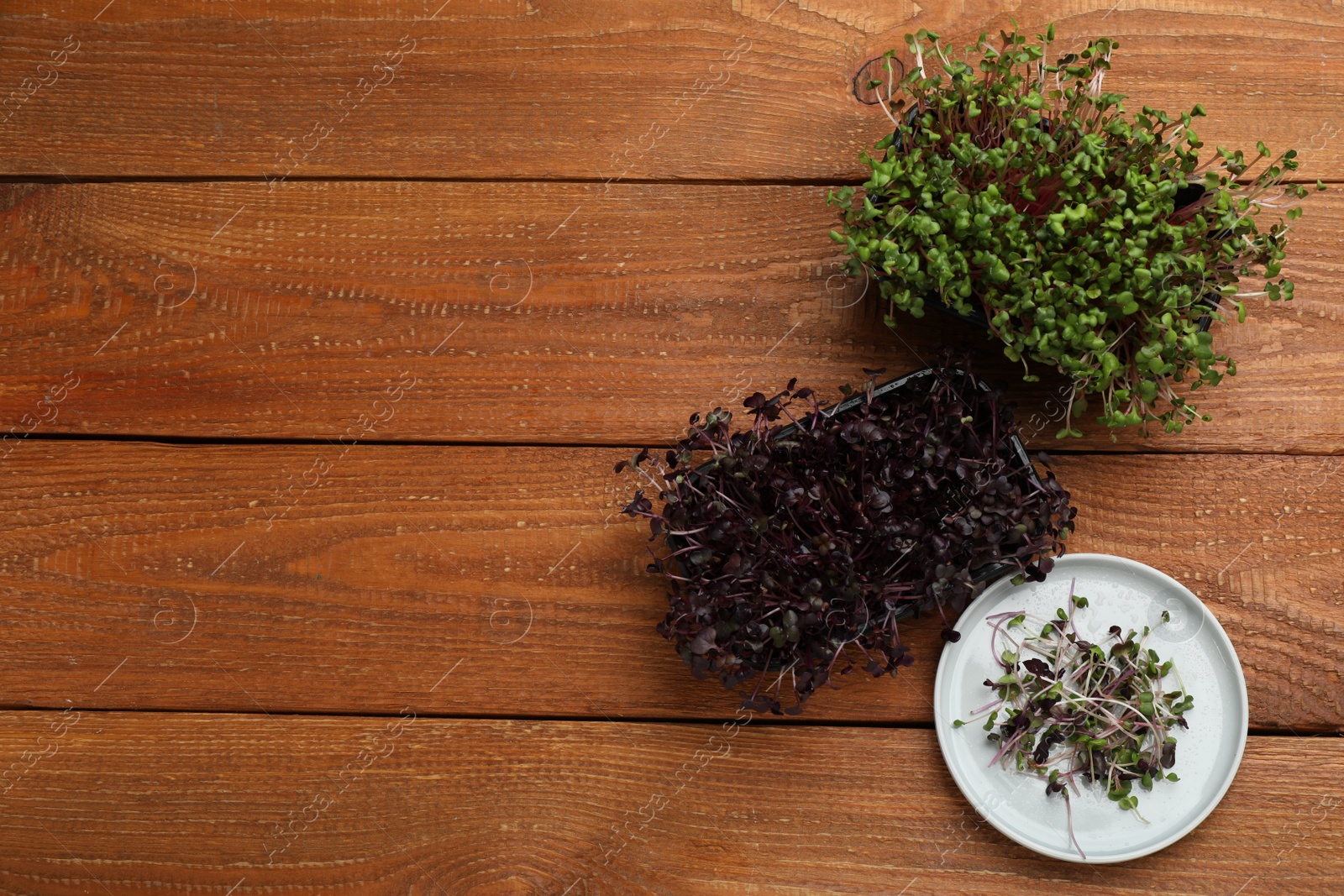 Photo of Fresh radish microgreens on wooden table, flat lay. Space for text