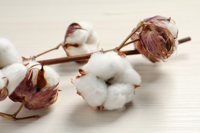 Photo of Dried cotton branch with fluffy flowers on white wooden table, closeup