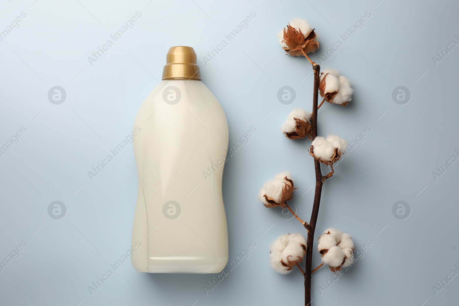 Bottle of fabric softener and branch with fluffy cotton flowers on light background, flat lay Photo of Bottle of fabric softener and branch with fluffy cotton flowers on light background, flat lay