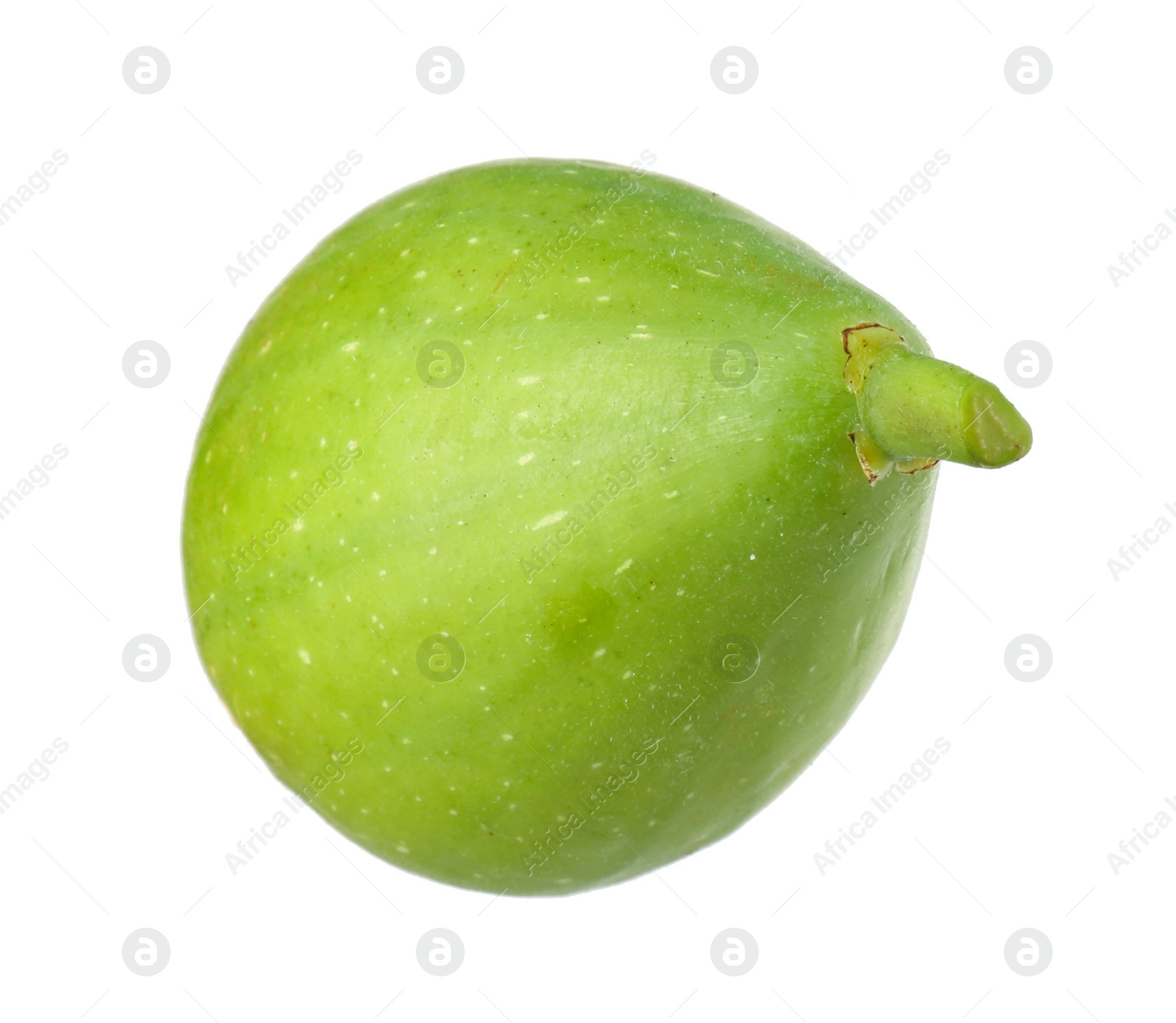 Photo of One fresh green fig isolated on white