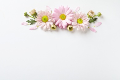 Beautiful chamomile flowers on white background, flat lay with space for text