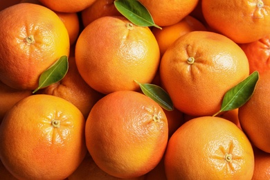 Many whole fresh ripe grapefruits as background, top view