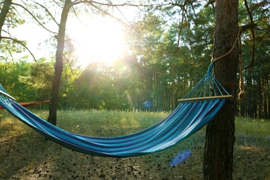 Empty comfortable blue hammock hanging in forest