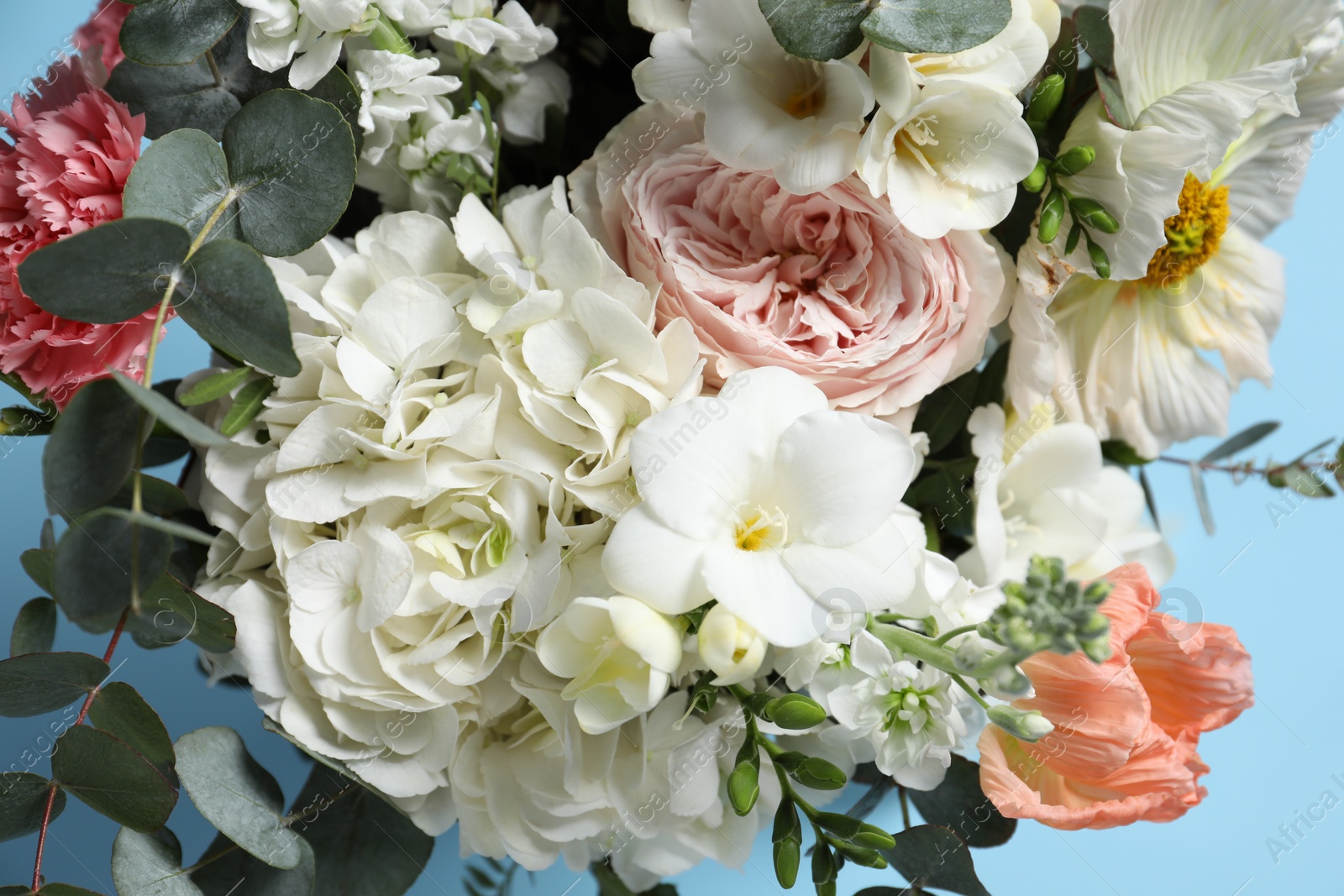 Photo of Bouquet of beautiful flowers on light blue background, closeup