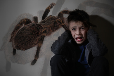 Image of Arachnophobia concept. Double exposurescared little boy and spider
