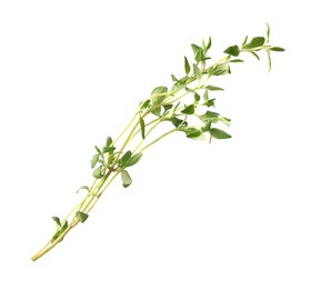 Photo of Aromatic fresh green thyme isolated on white