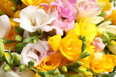 Photo of Beautiful colorful freesia bouquet as background, closeup