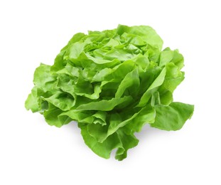 Fresh green butter lettuce head isolated on white