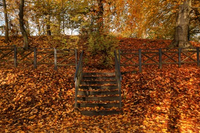 Photo of Stone stairs and fallen yellowed leaves in park