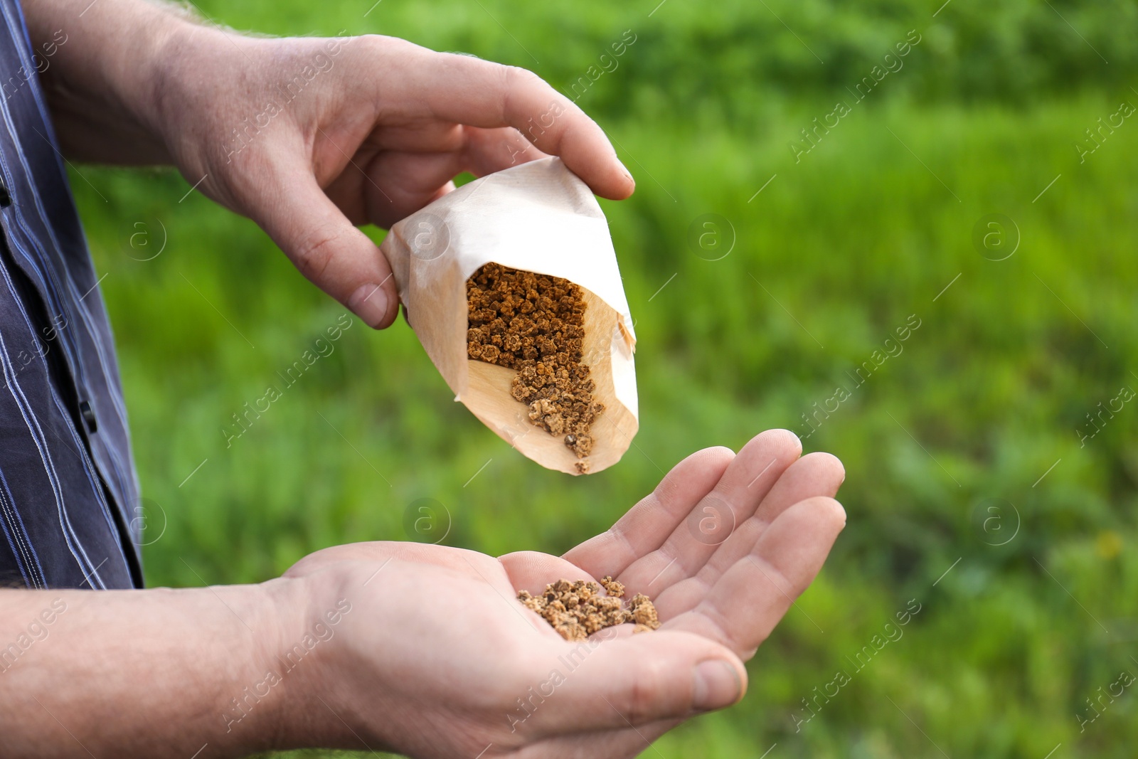 Photo of Man pouring beet seeds from paper bag into hand outdoors, closeup