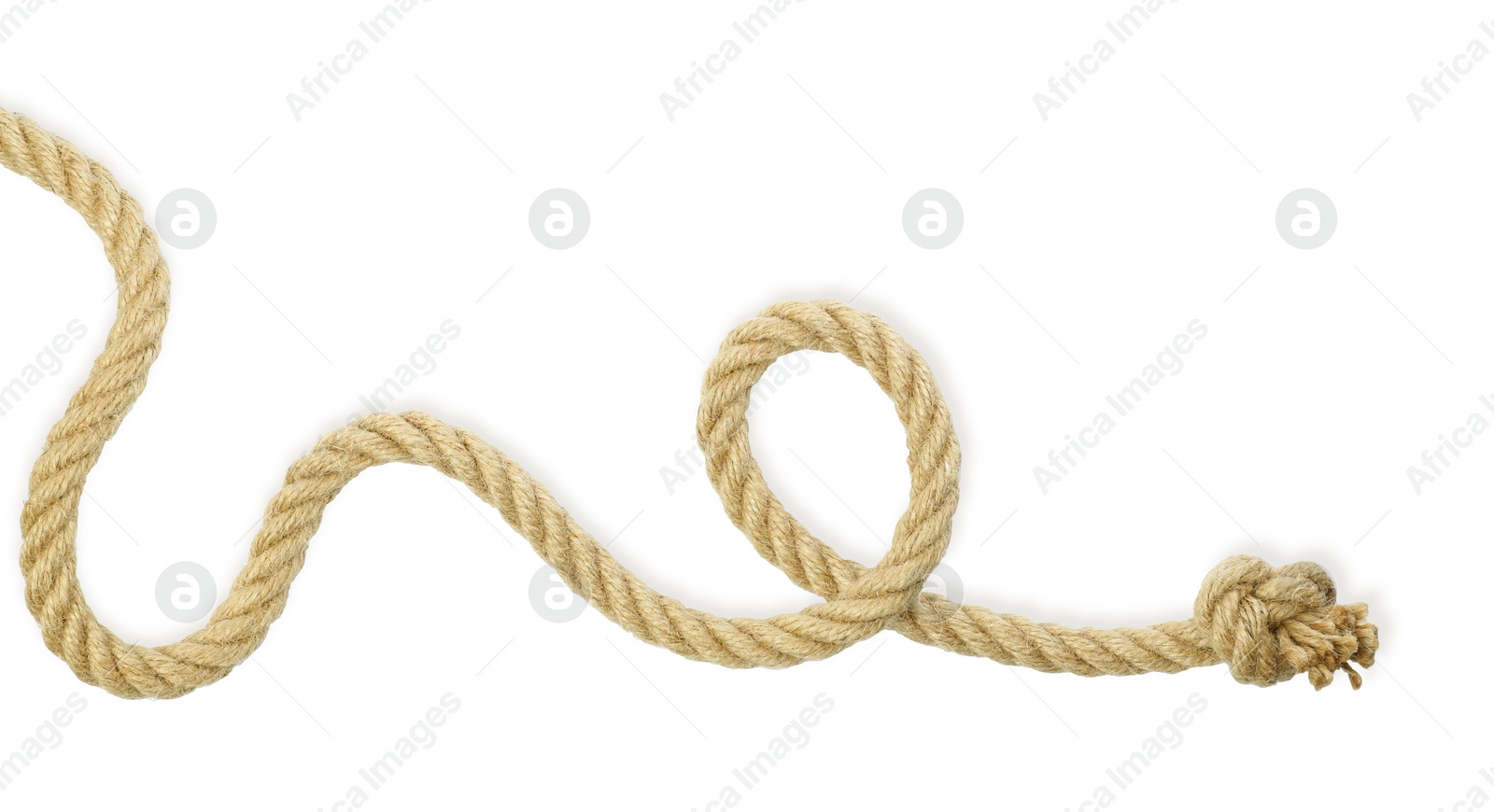 Photo of Hemp rope with knot isolated on white, top view