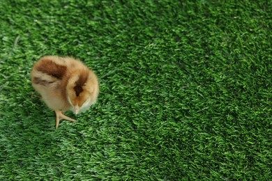 Cute chick on green artificial grass outdoors, above view with space for text. Baby animal