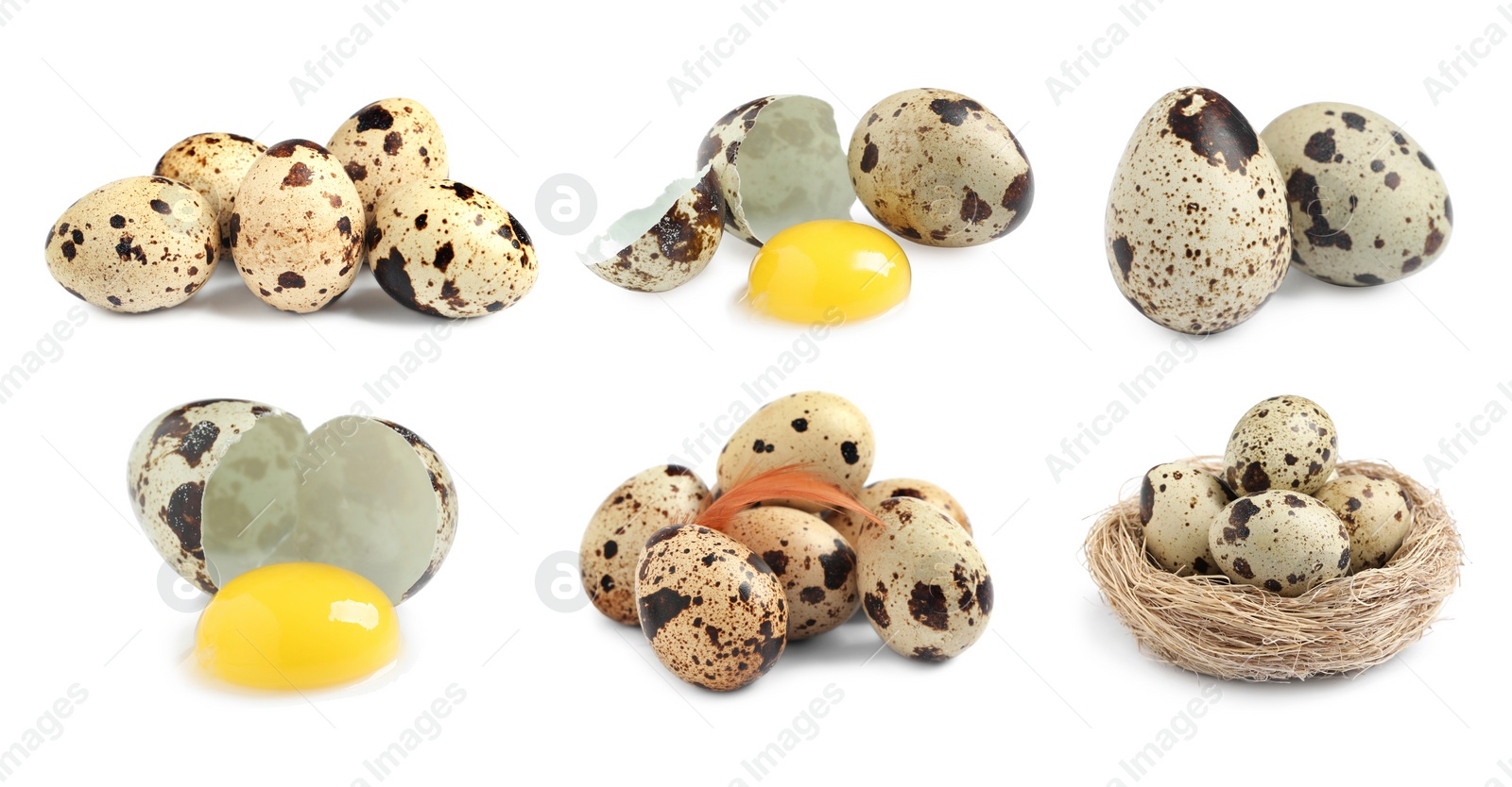 Image of Set with quail eggs on white background. Banner design