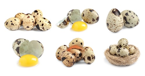 Image of Set with quail eggs on white background. Banner design