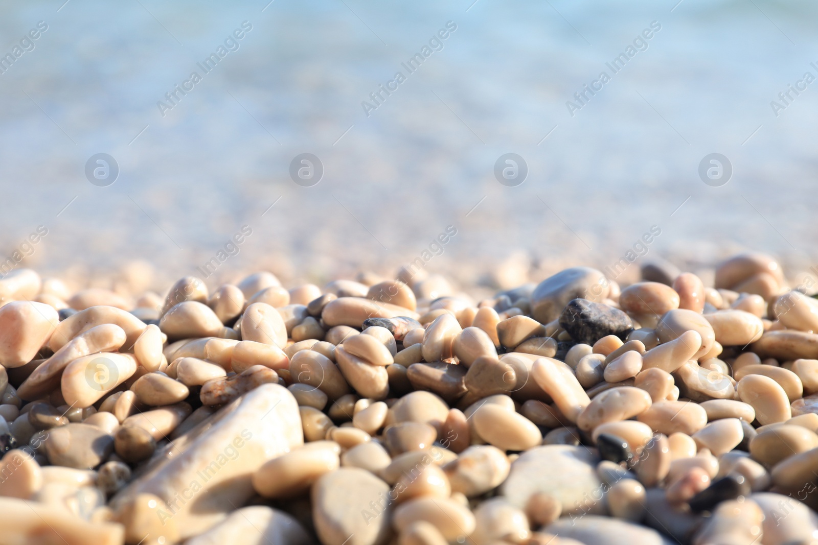 Photo of Closeup view of pebble beach on sunny day