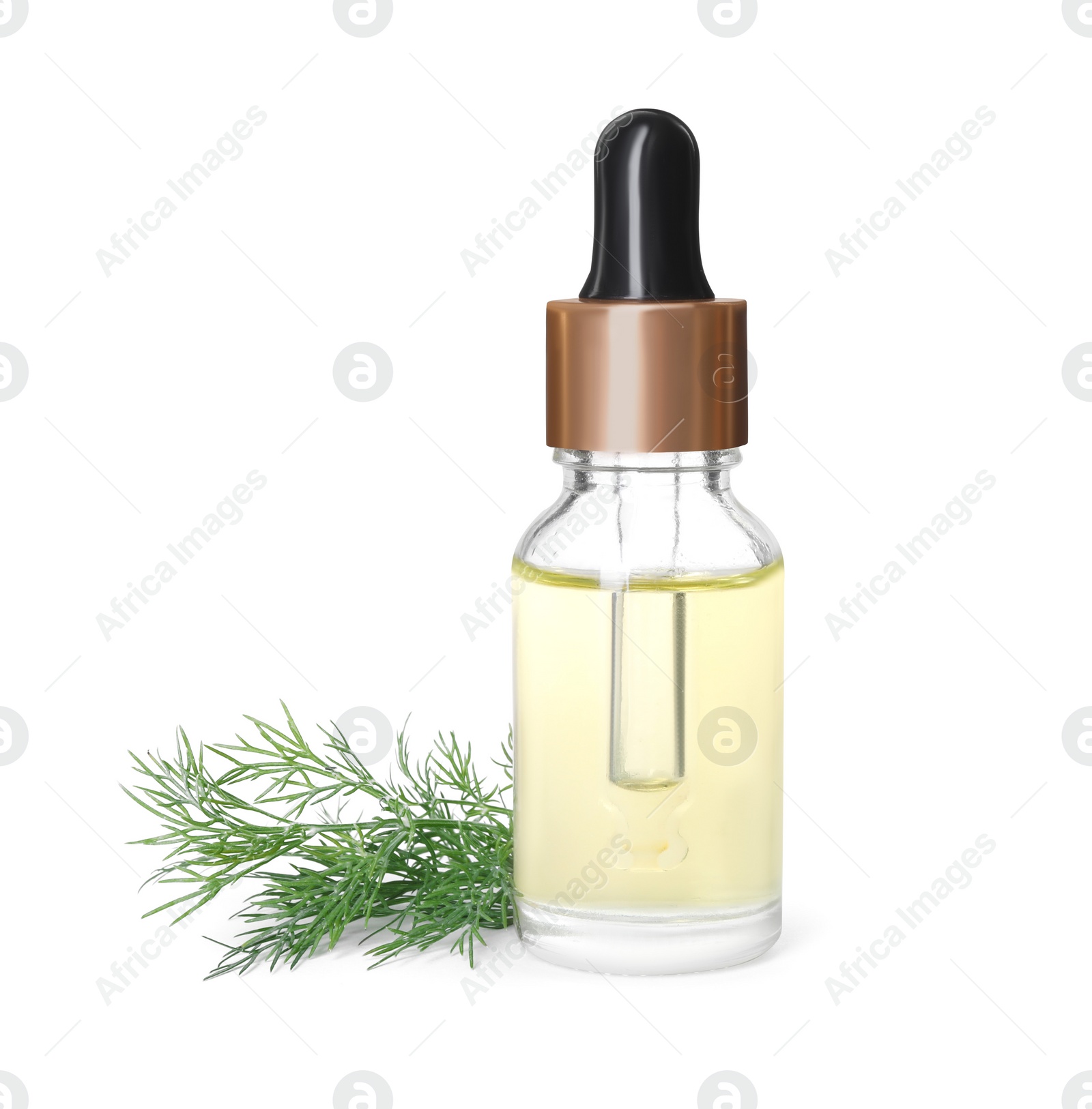 Photo of Bottle of essential oil and fresh dill isolated on white