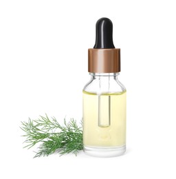 Photo of Bottle of essential oil and fresh dill isolated on white